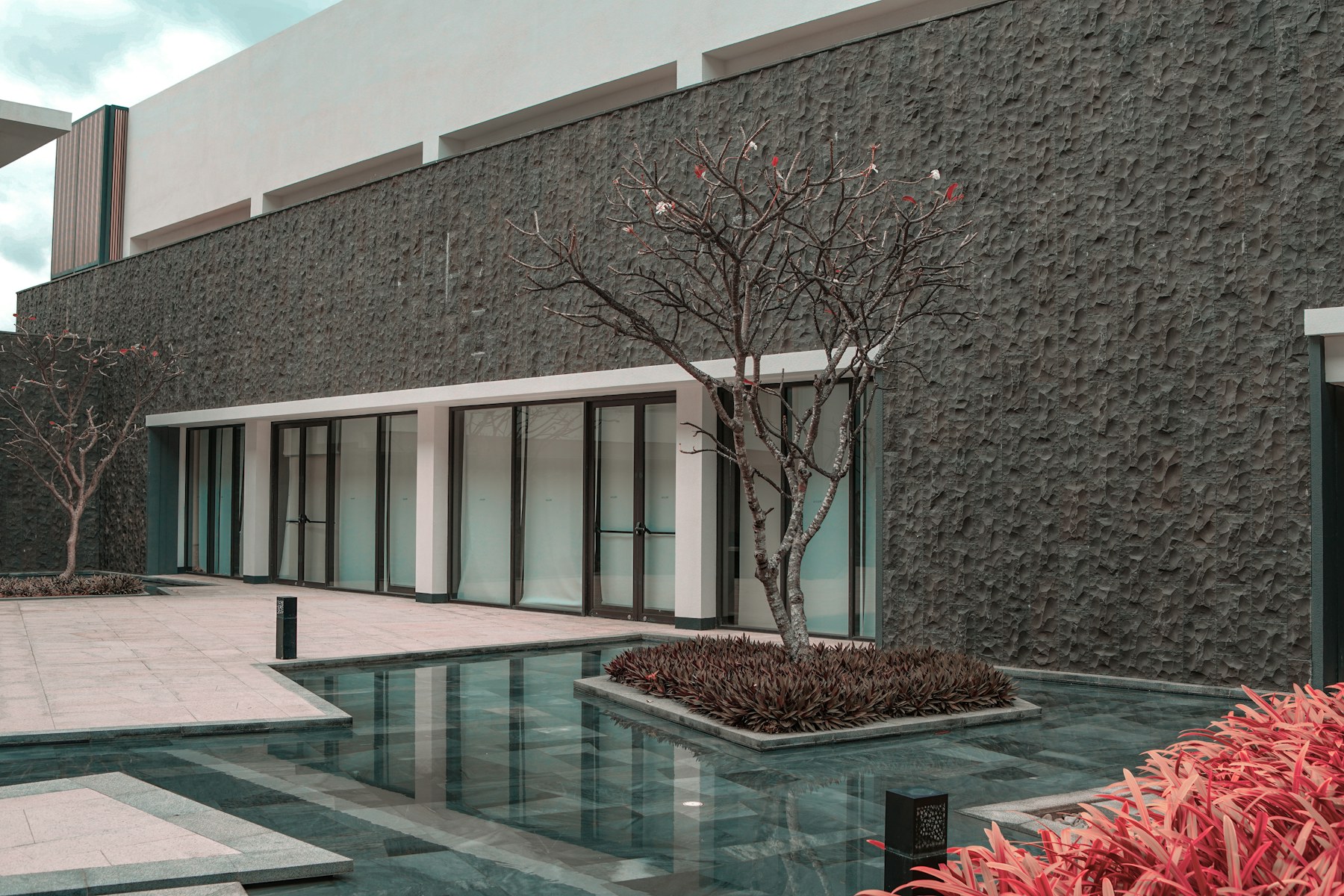 A quiet architectural courtyard with a reflecting pool and a single tree