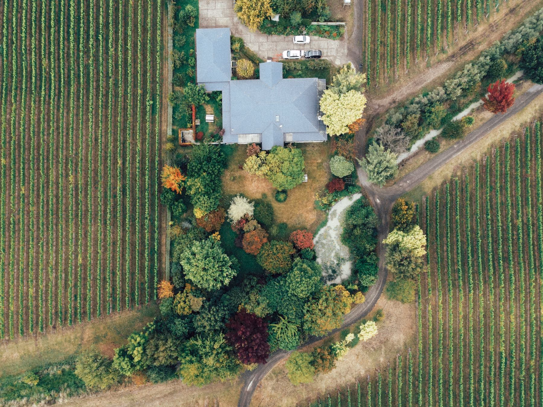A vineyard estate and residence viewed from above in autumn