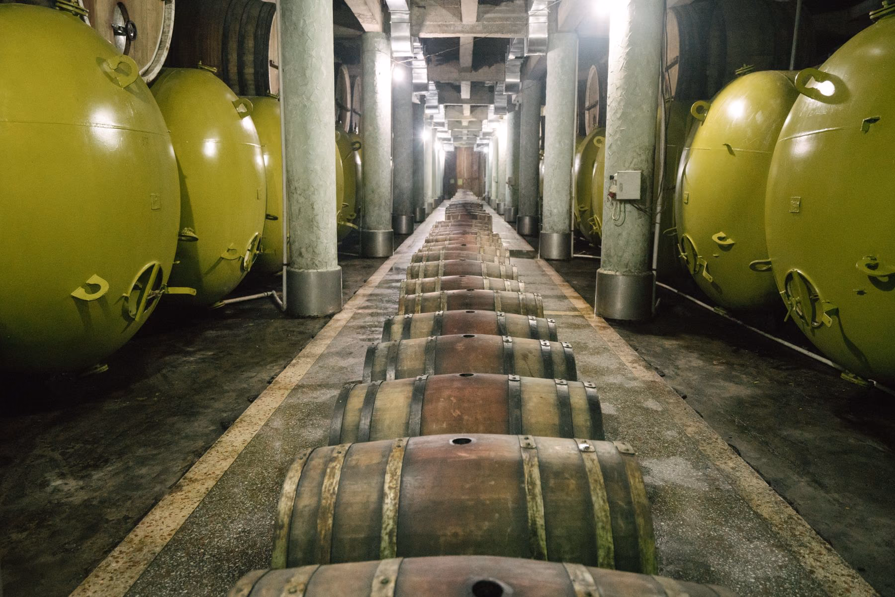 A working winery cellar with barrels and production vessels